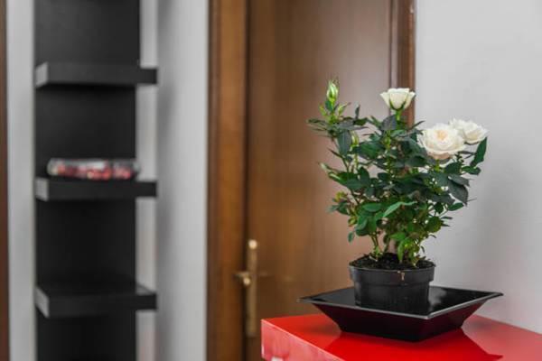 Hotel Tolli Rzym Zewnętrze zdjęcie